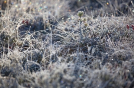 欧亿注册地区要求升级！限制范围扩大至60个司法管辖区 7月1日生效